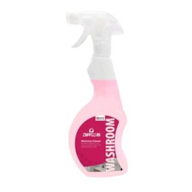 Washroom Cleaner - 750ml